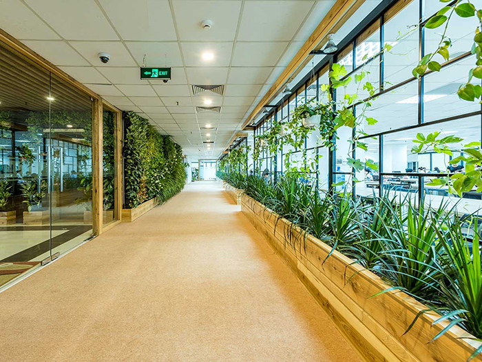 không gian  văn phòng xanh hiện đại, thân thiện môi trường